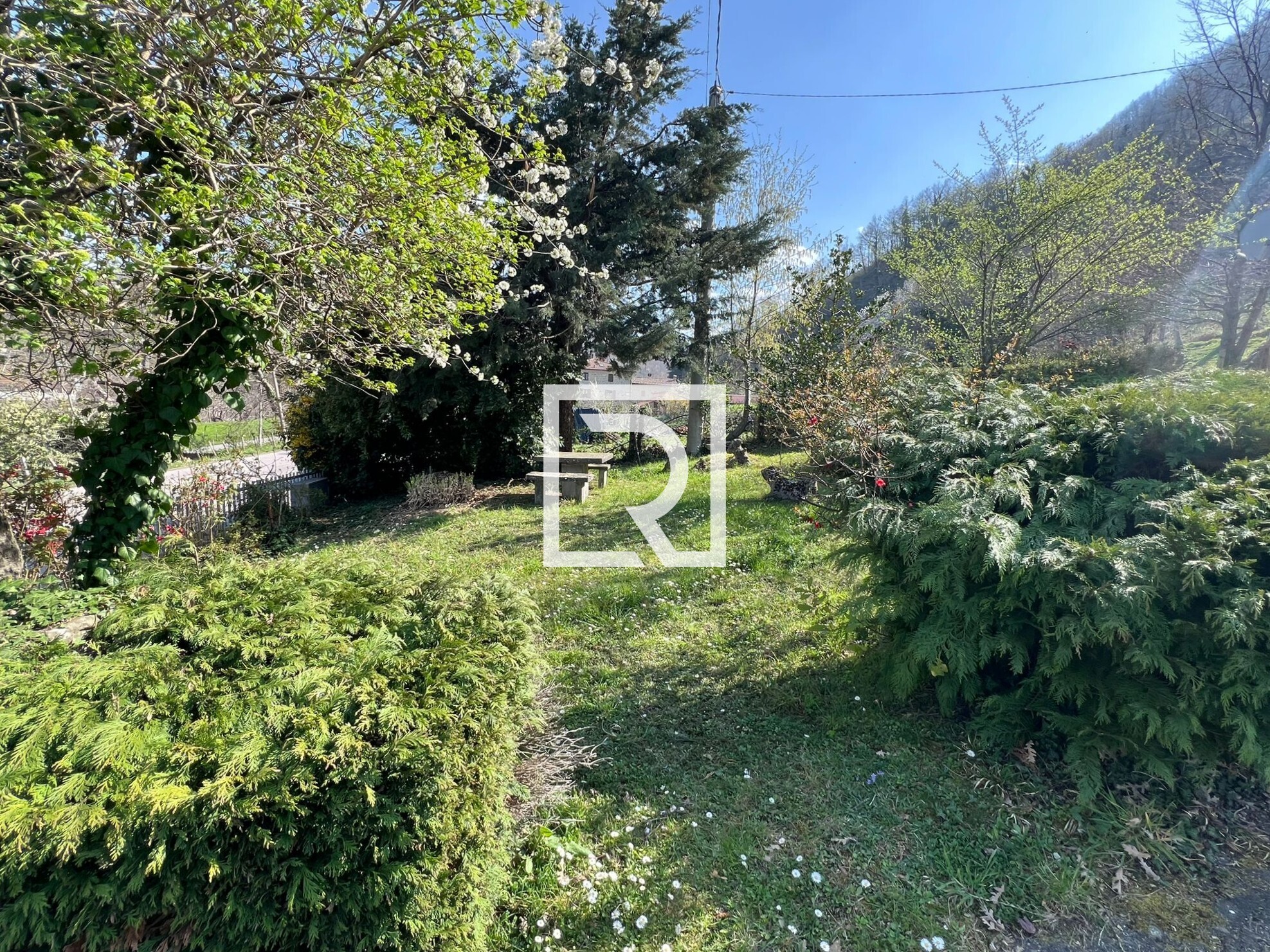 WhatsApp Image 2026-04-10 at 11.07.12 (3)