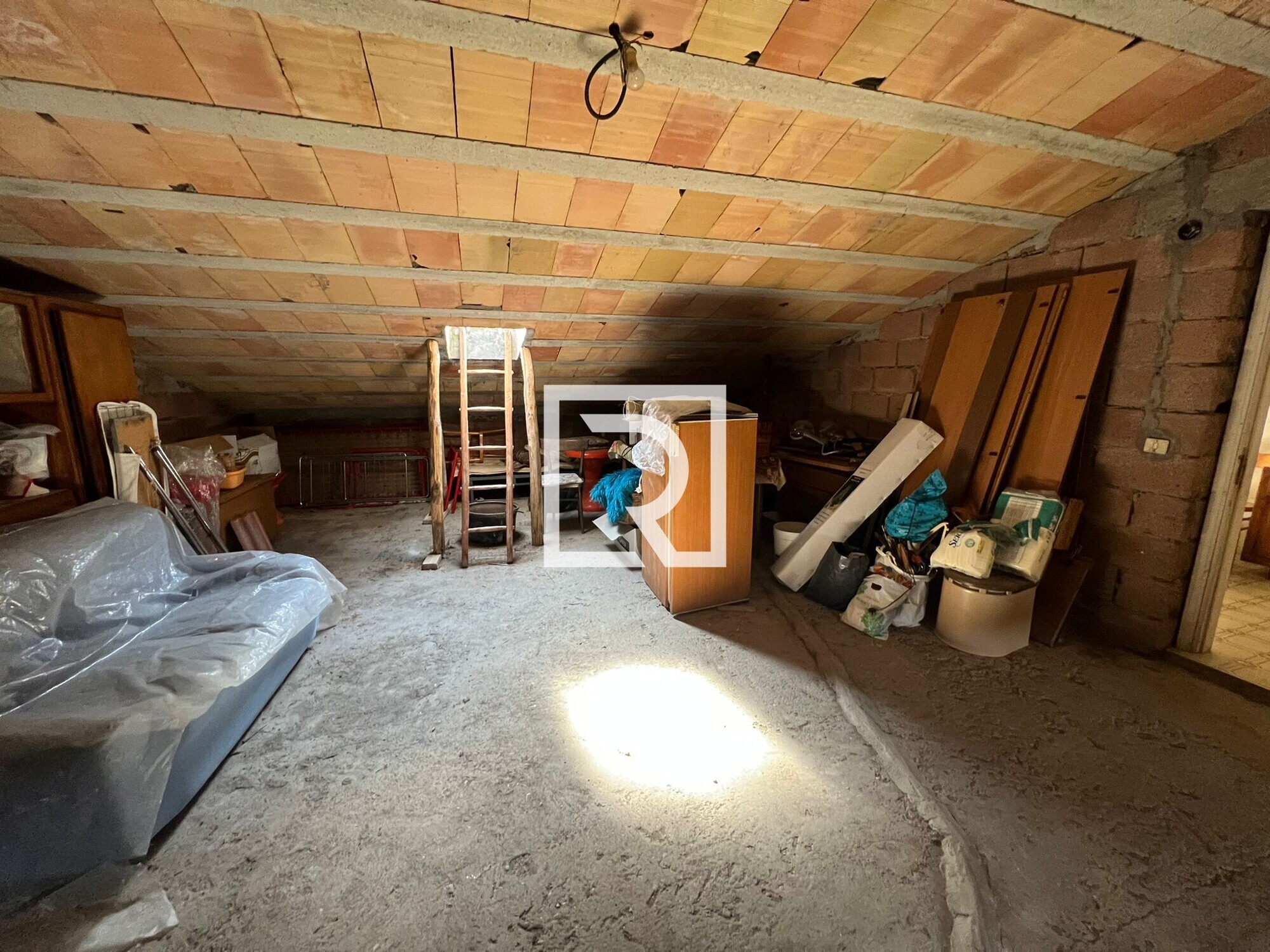 WhatsApp Image 2026-04-10 at 11.07.58 (2)