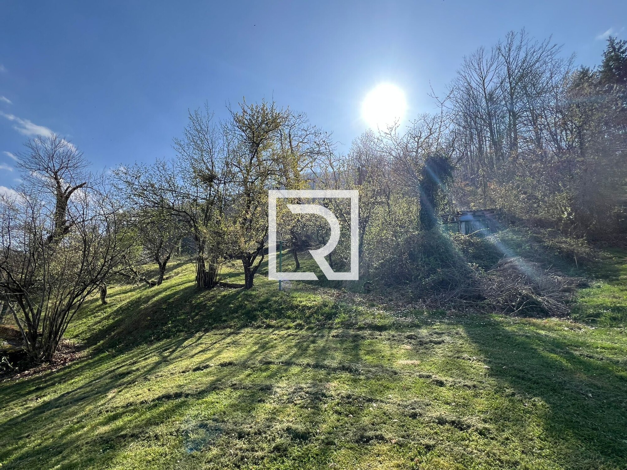 WhatsApp Image 2026-04-10 at 11.07.12 - Copia