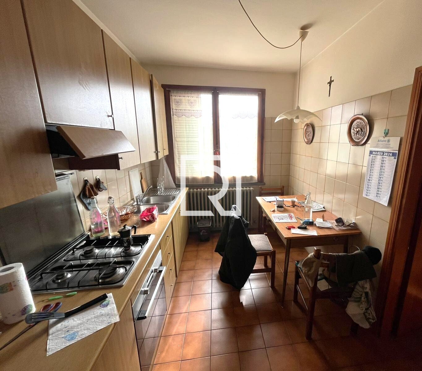 WhatsApp Image 2026-03-10 at 11.24.39 (2)