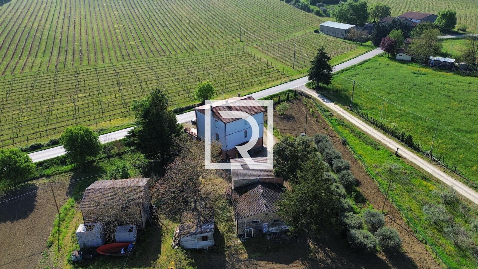 WhatsApp Image 2026-04-17 at 15.10.07