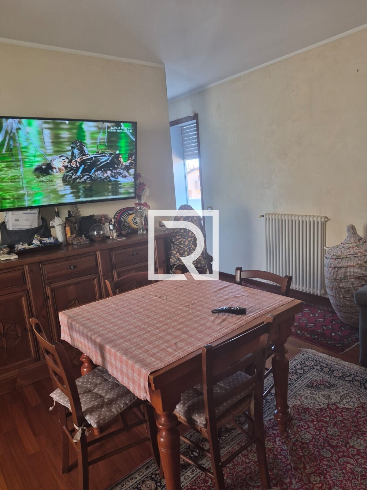 WhatsApp Image 2026-04-22 at 17.34.16