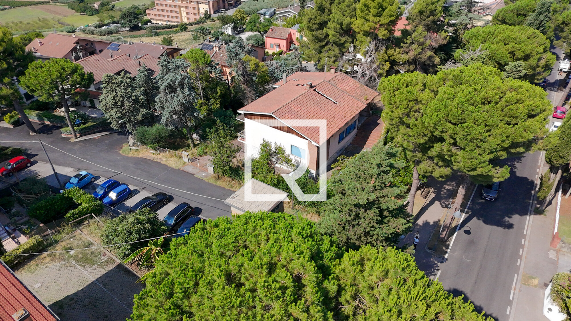 dji_fly_20260711_102438_0584_1783956980345_photo