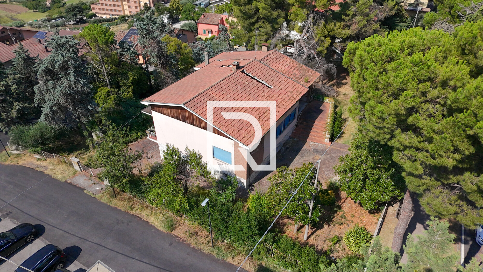 dji_fly_20260711_102430_0583_1783956980696_photo