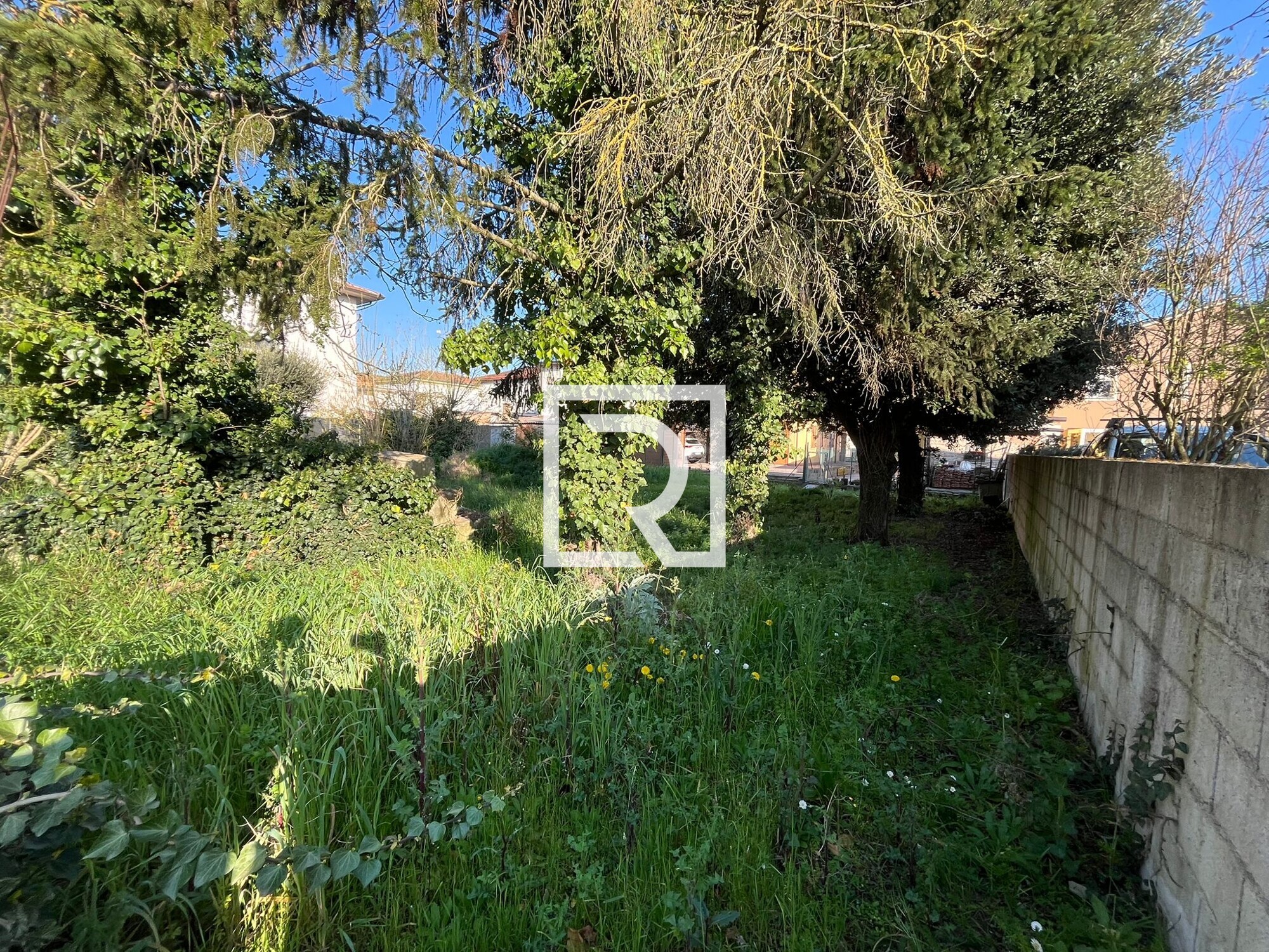 WhatsApp Image 2026-04-20 at 08.56.14 (3)