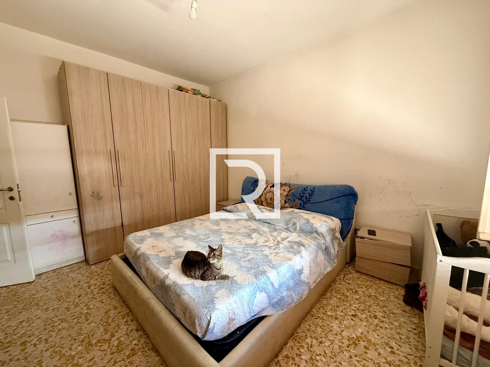 WhatsApp Image 2026-04-30 at 10.47.57 (1)