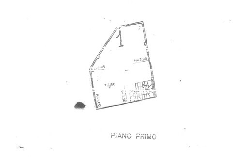 Immagine 2026-07-04 103716