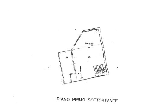 Immagine 2026-07-04 103746