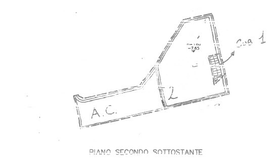 Immagine 2026-07-04 103832