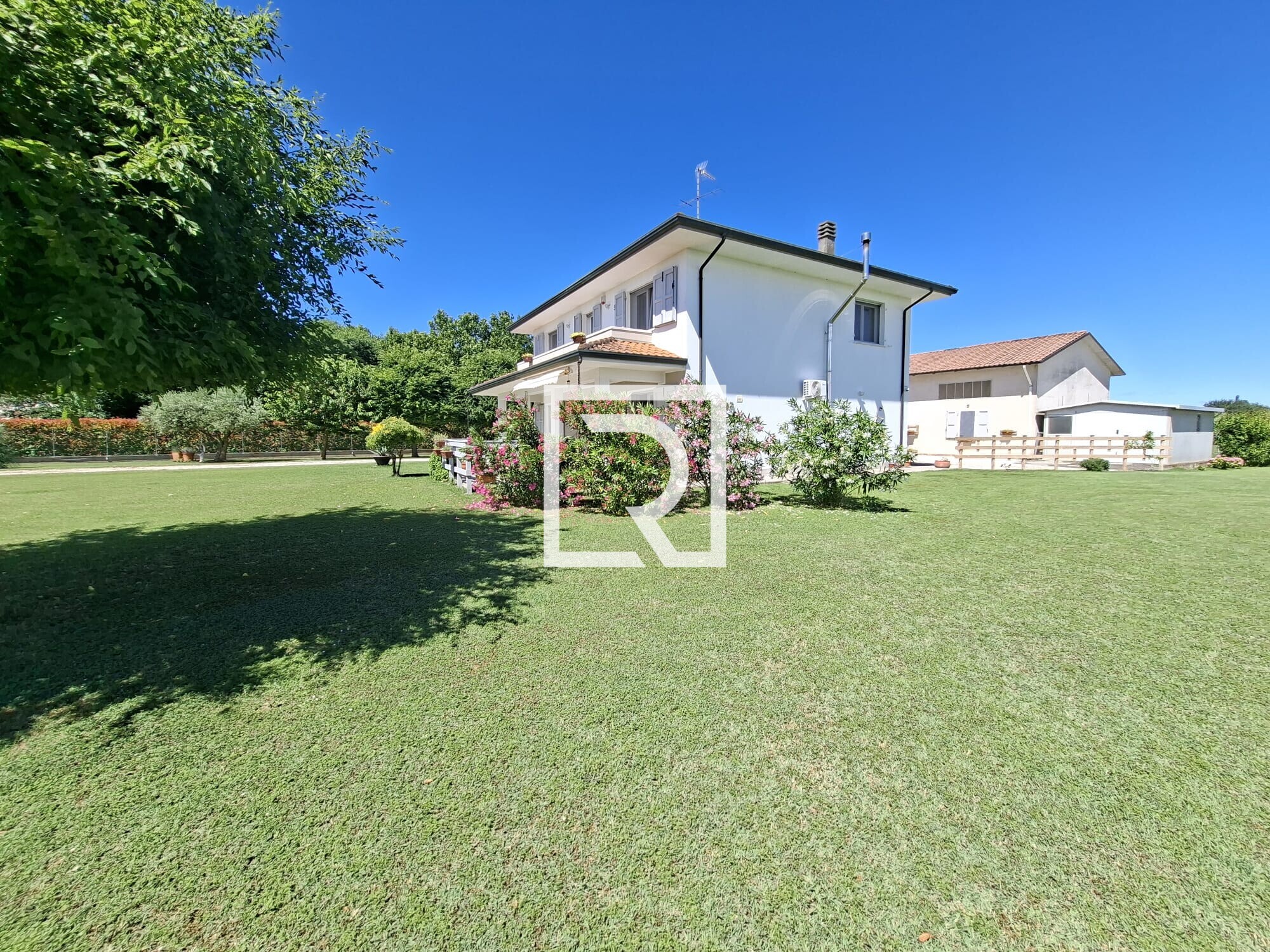 IMG_4948