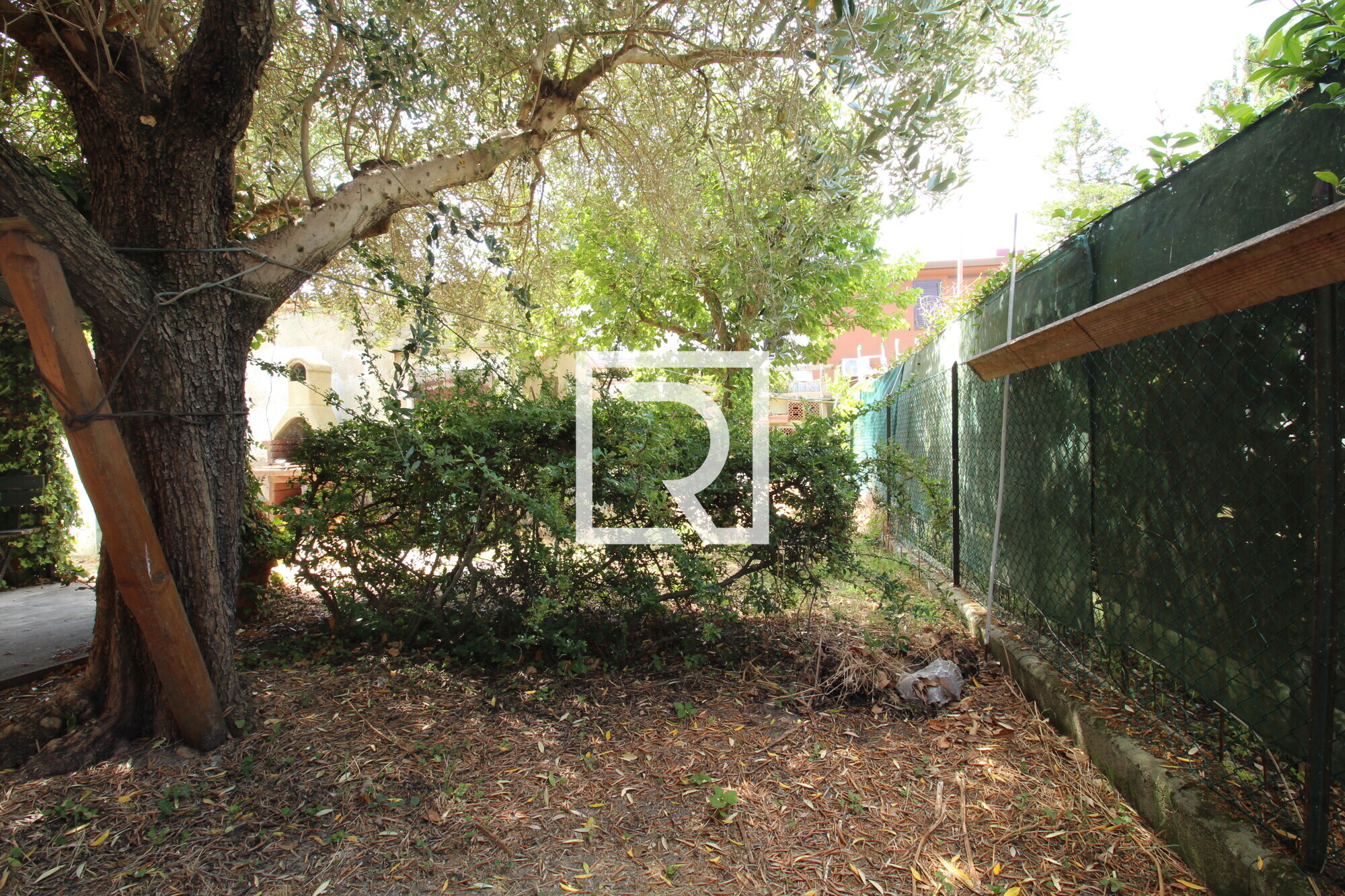 giardino (2)