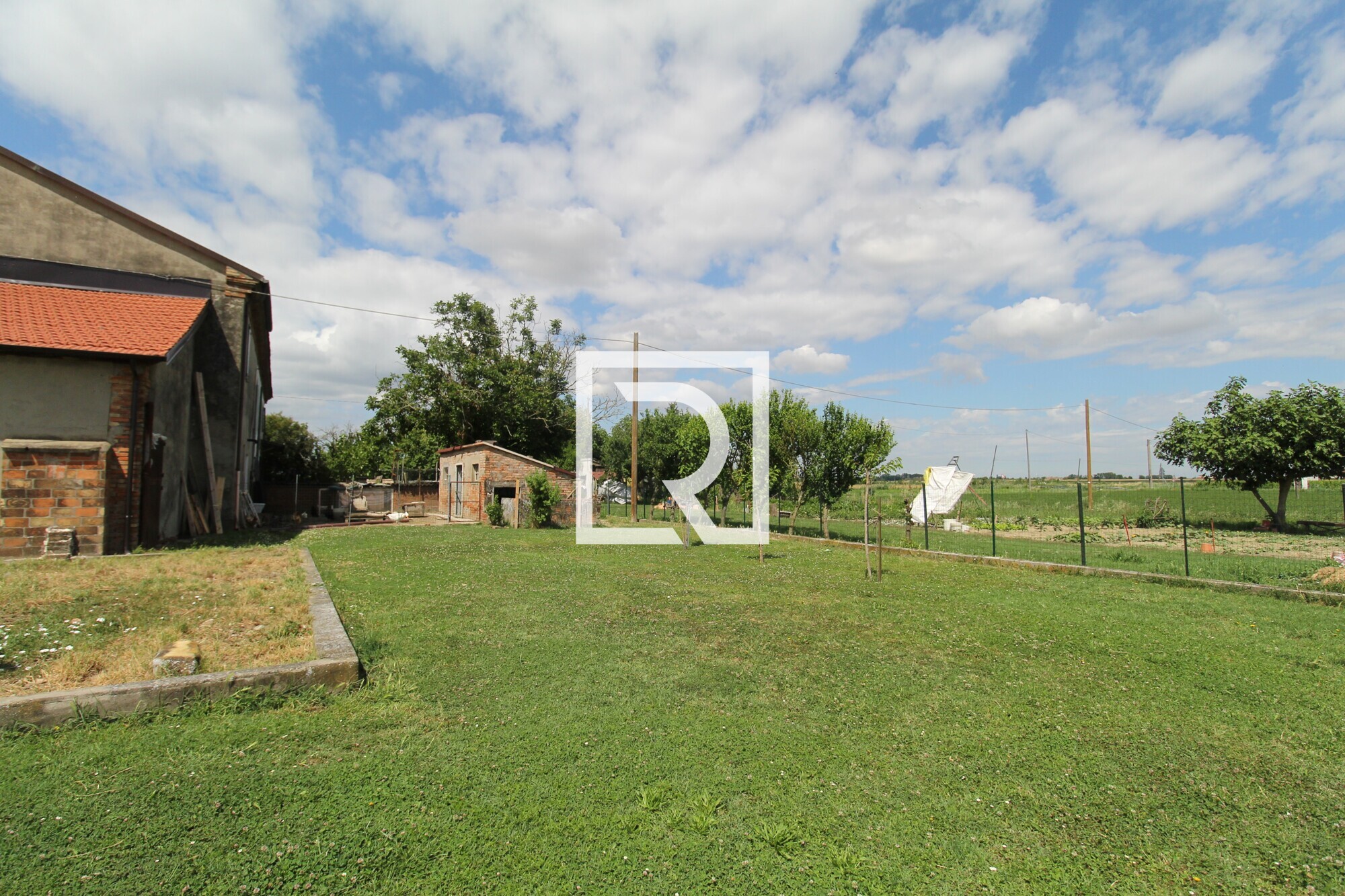 IMG_8953