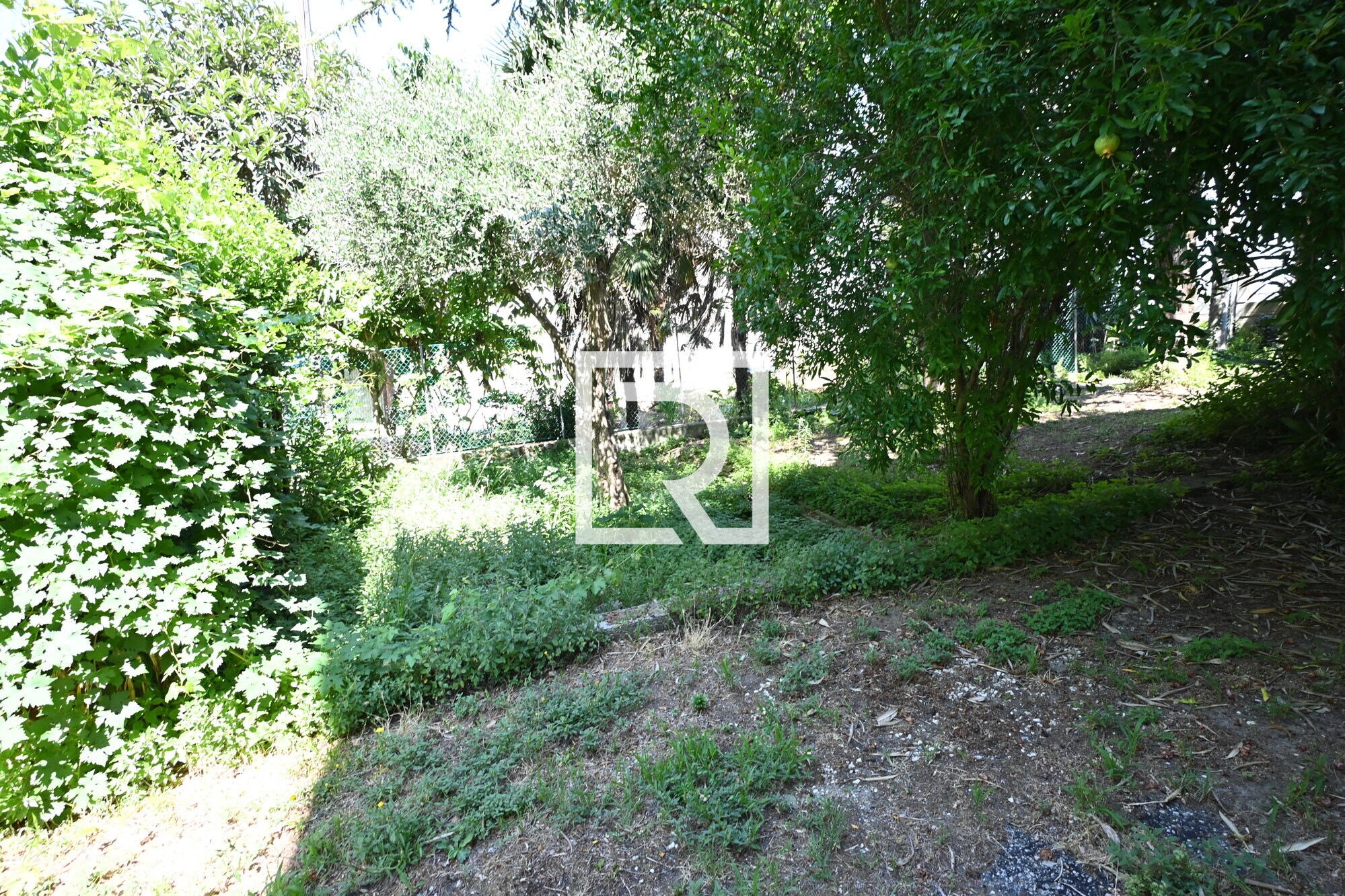 giardino3