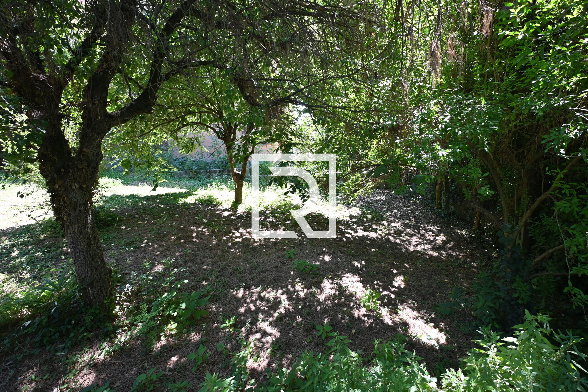 giardino 8