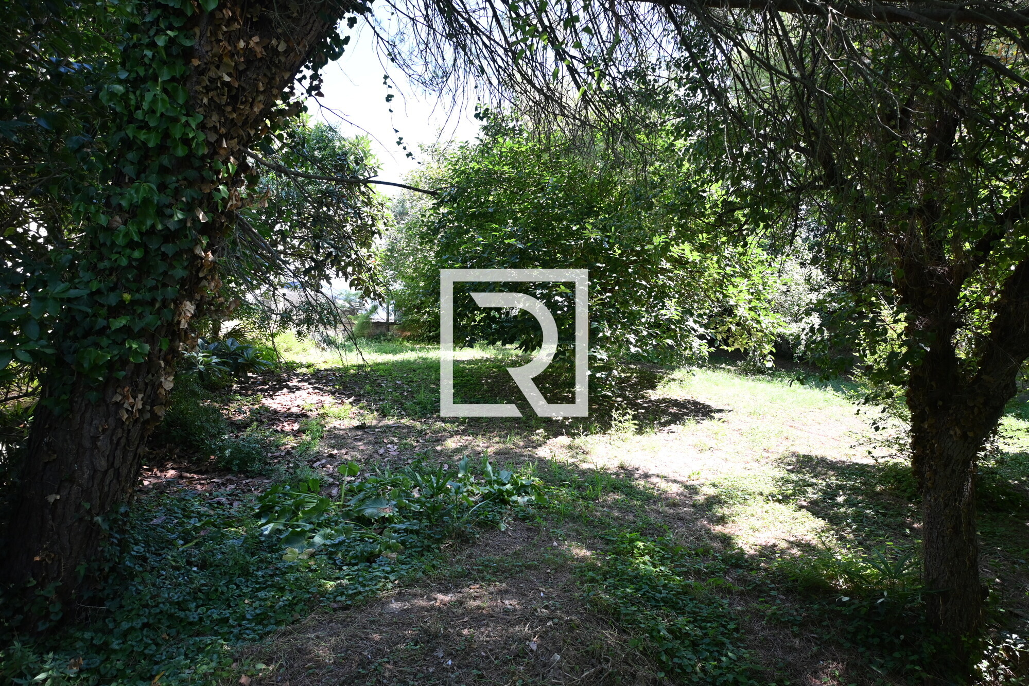 giardino 7