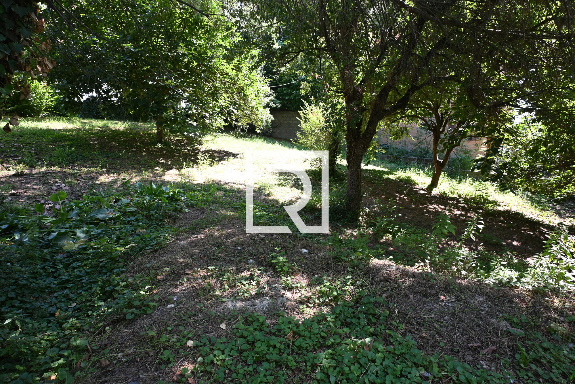 giardino 6