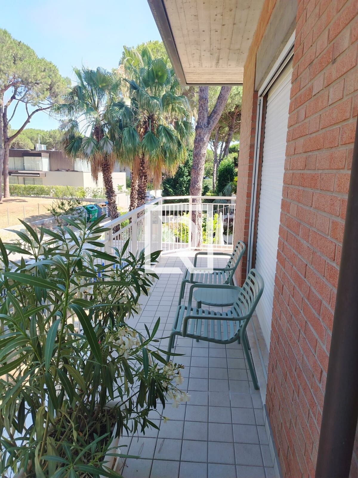 TERRAZZO