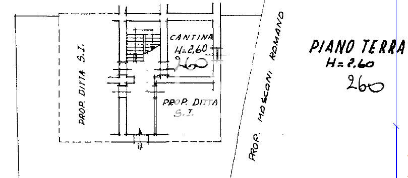 planimetria cantina