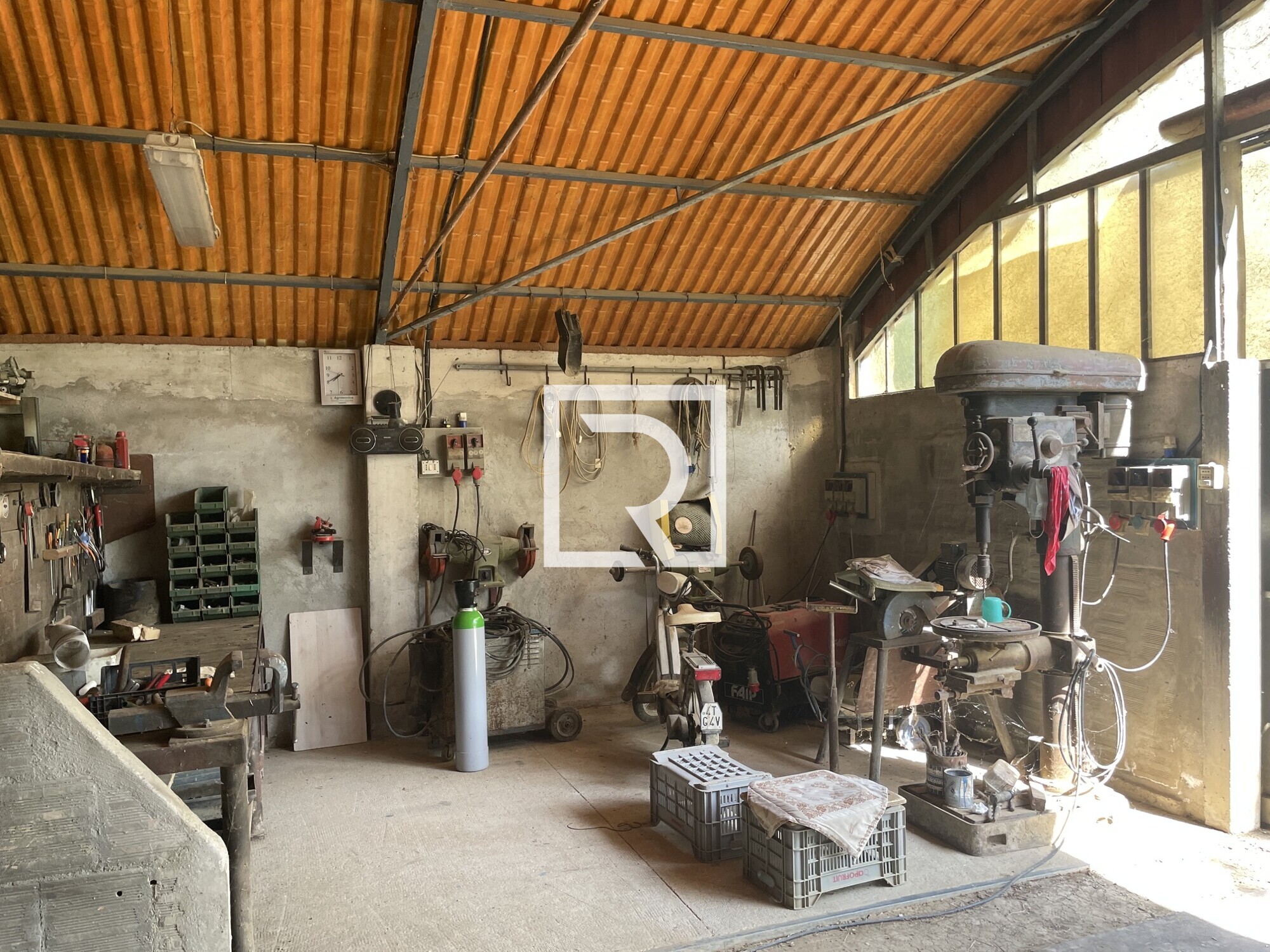 image6