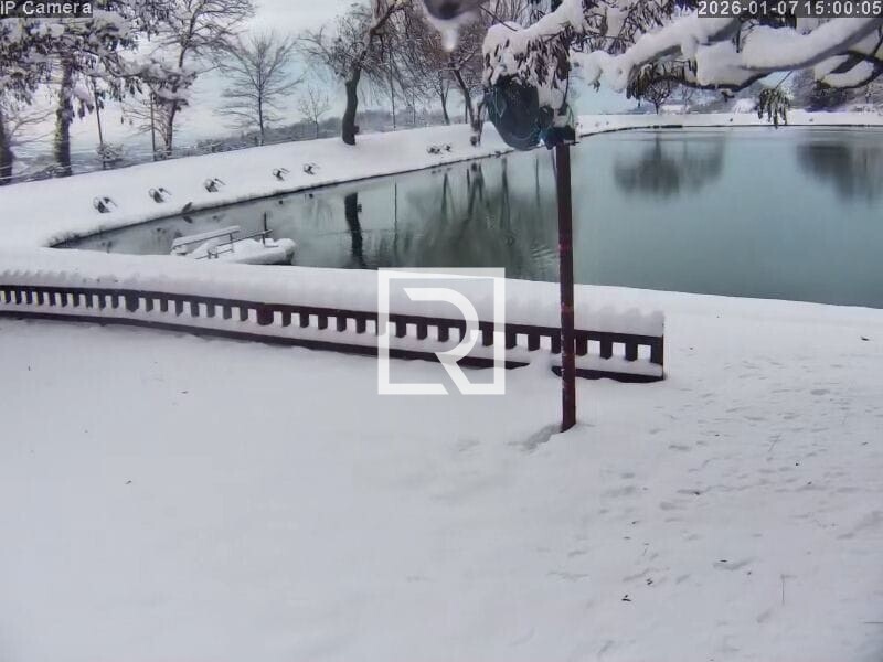 WhatsApp Image 2026-08-09 at 14.58.34