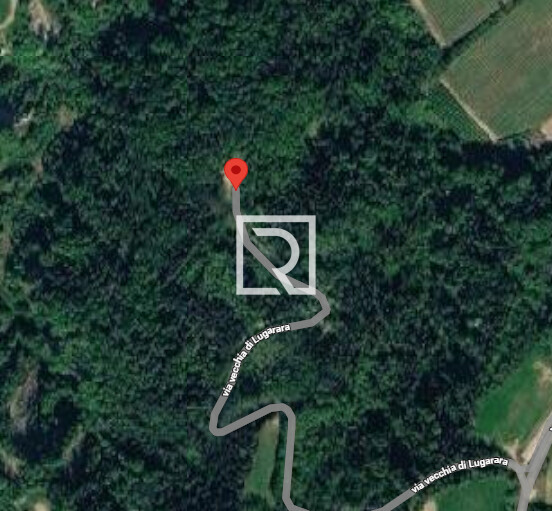 MAPPALE
