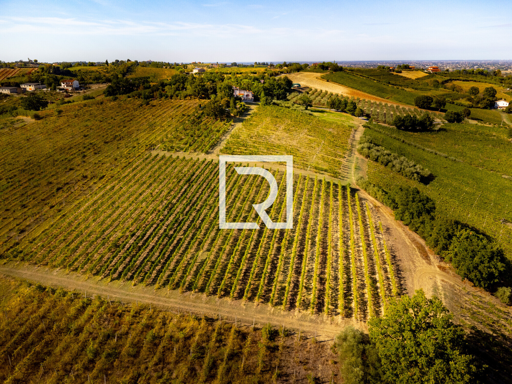 DJI_0775