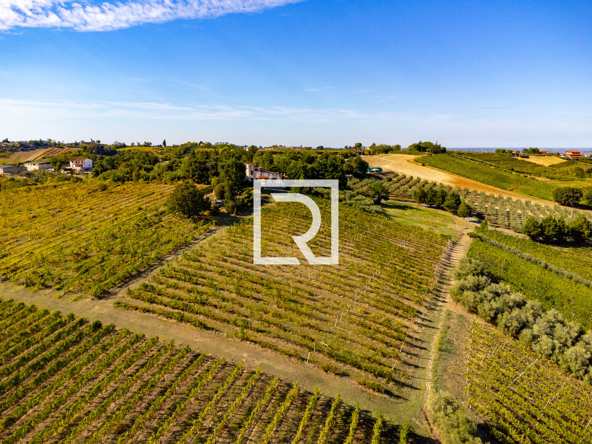 DJI_0772