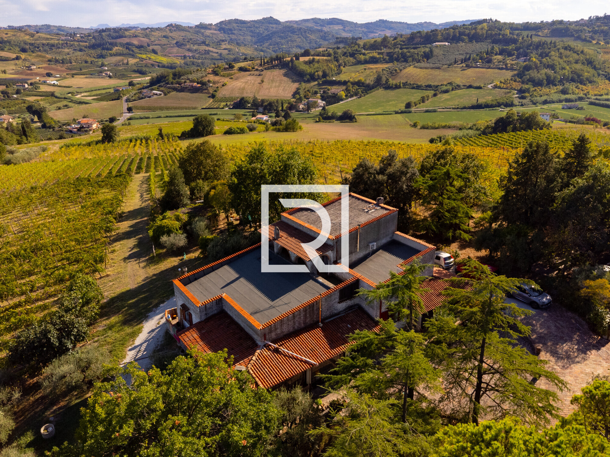 DJI_0764