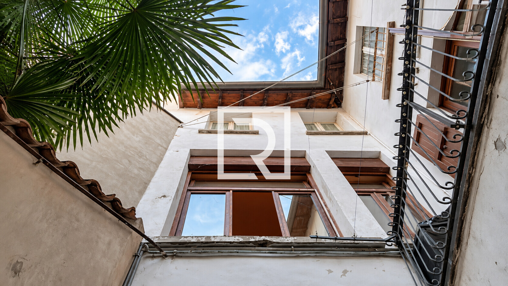 Palm-Framed Courtyard Looking Skyward