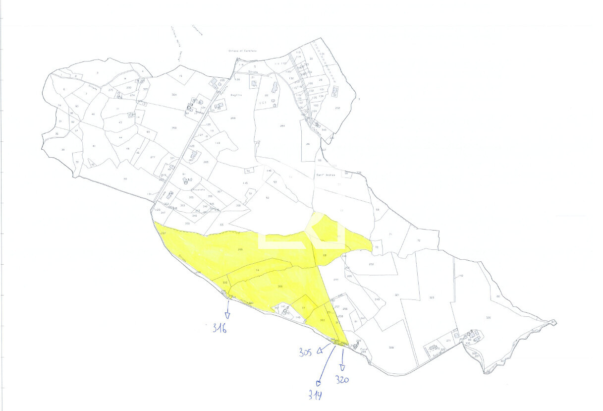 MAPPALE 1