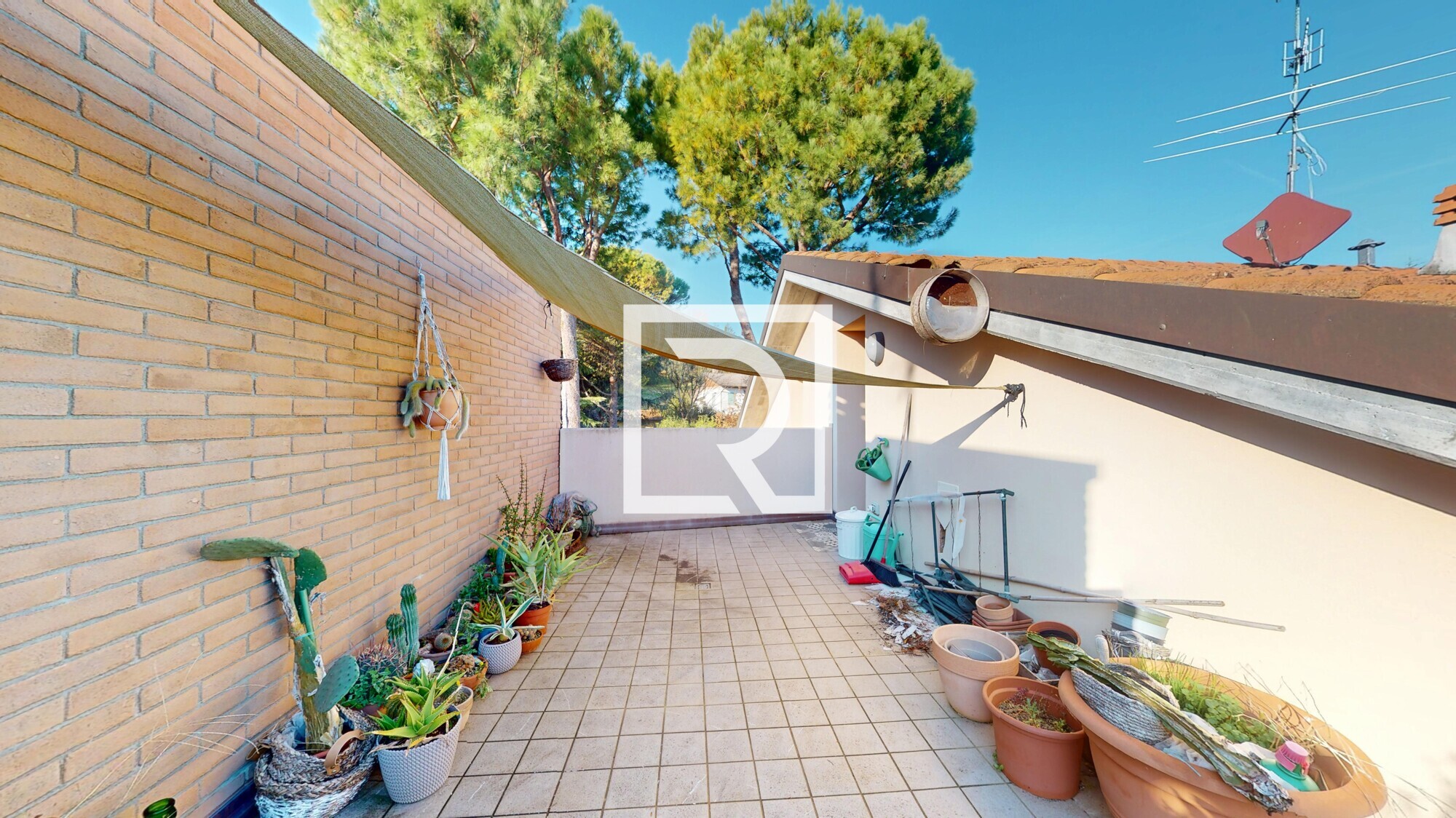 Trilocale-Recente-12122025_152534