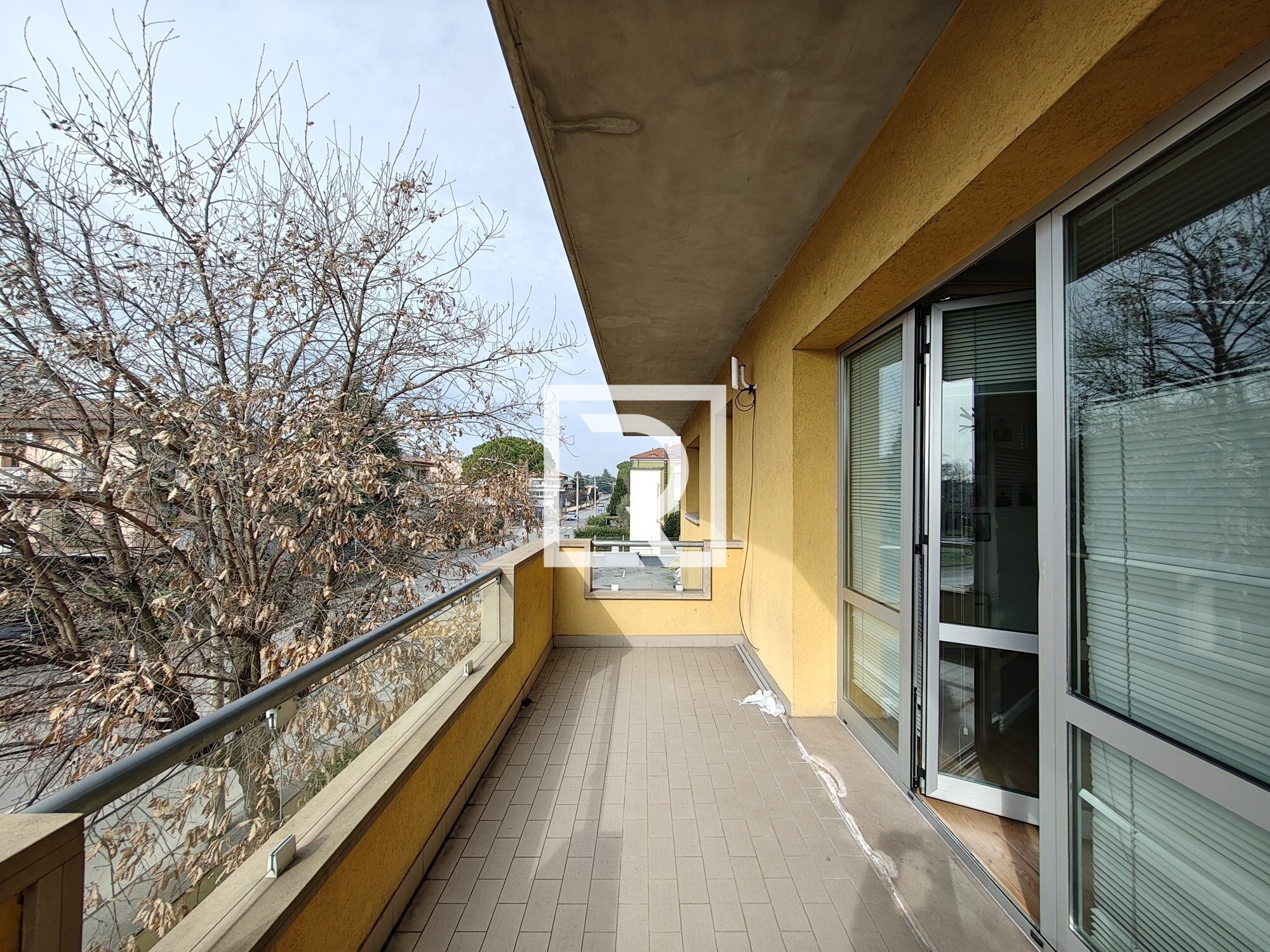 IMG_20250228_103348499_HDR
