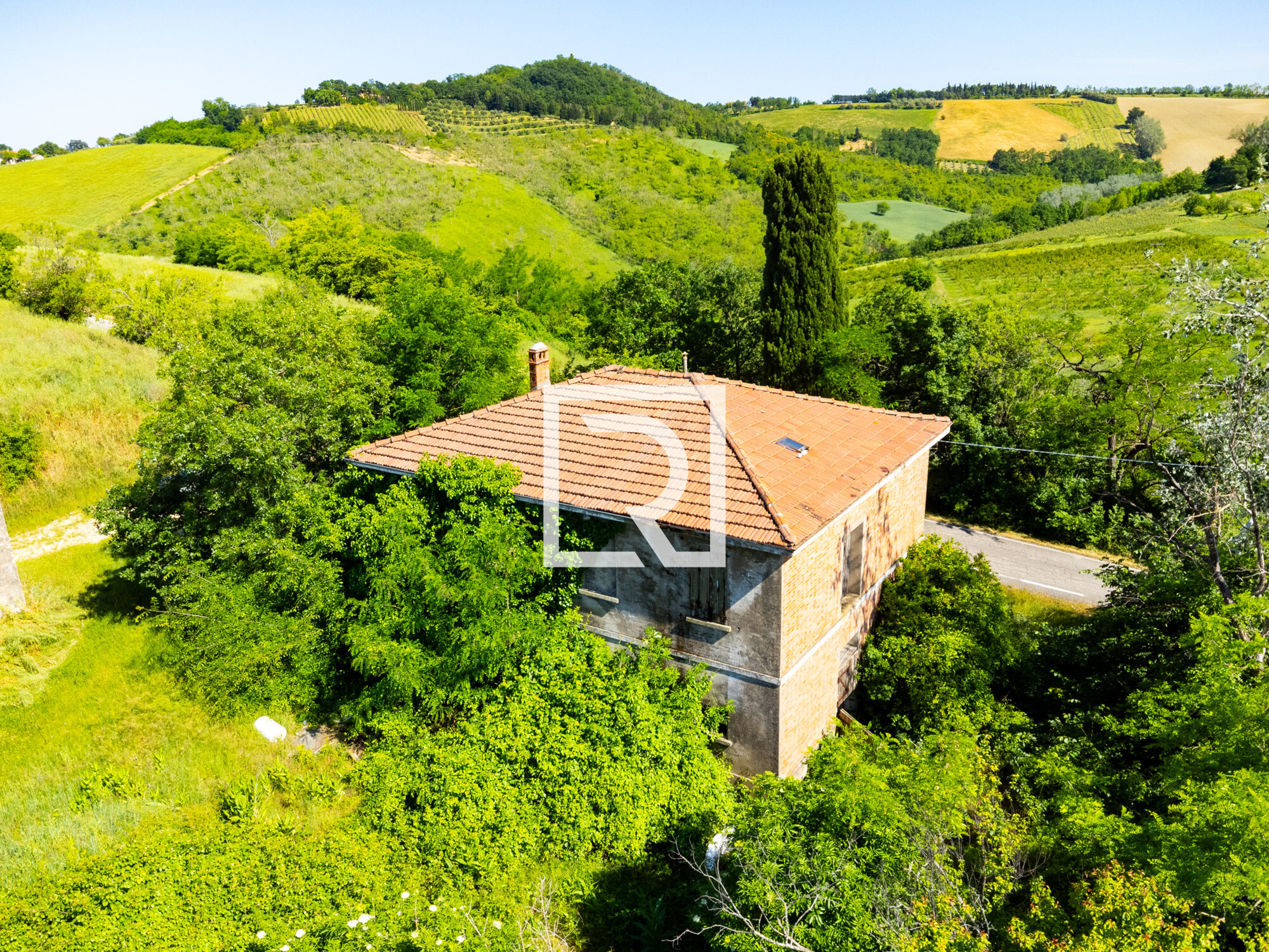 DJI_0069