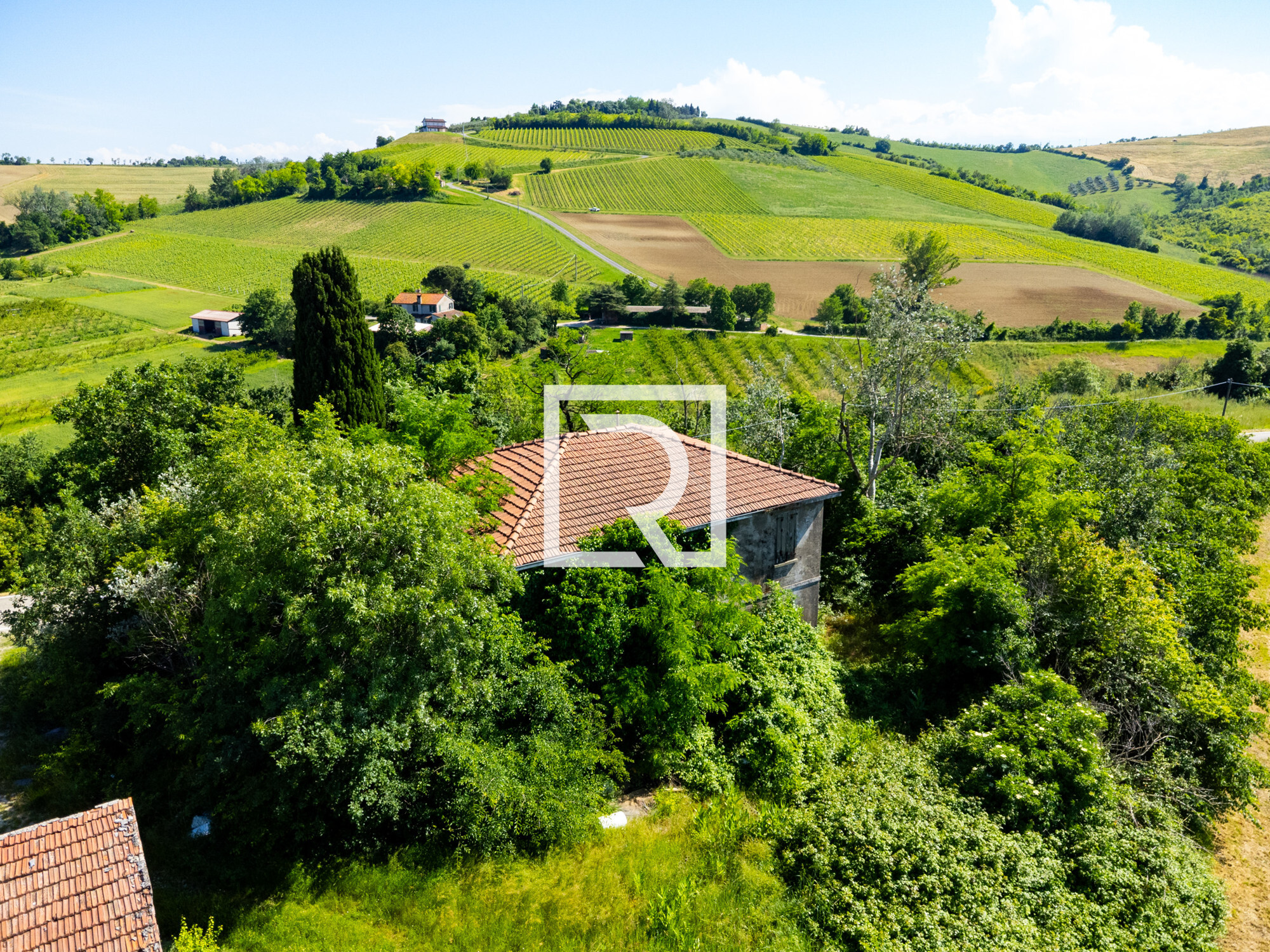 DJI_0071