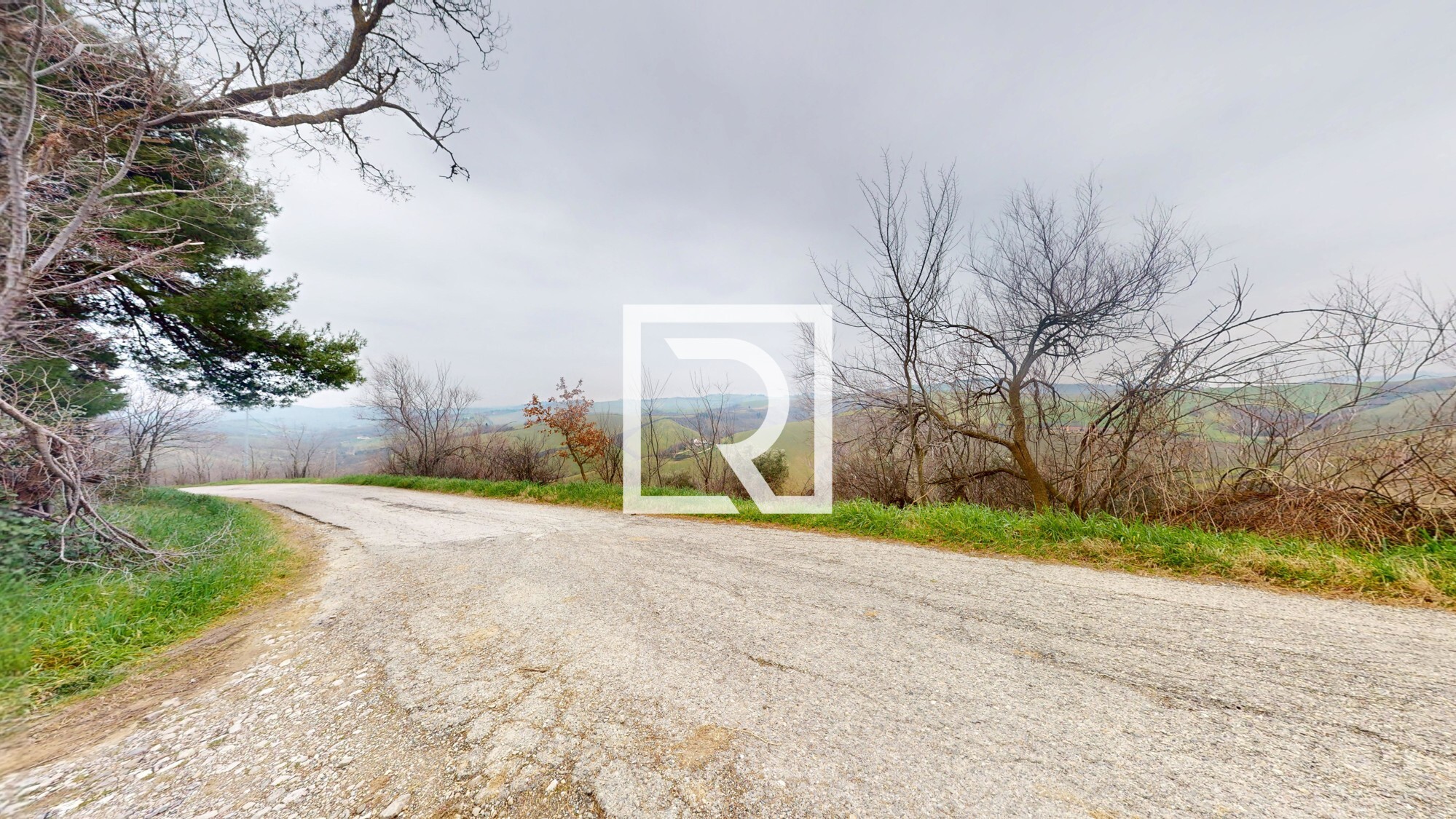 Rustico-Converselle-02192025_121321