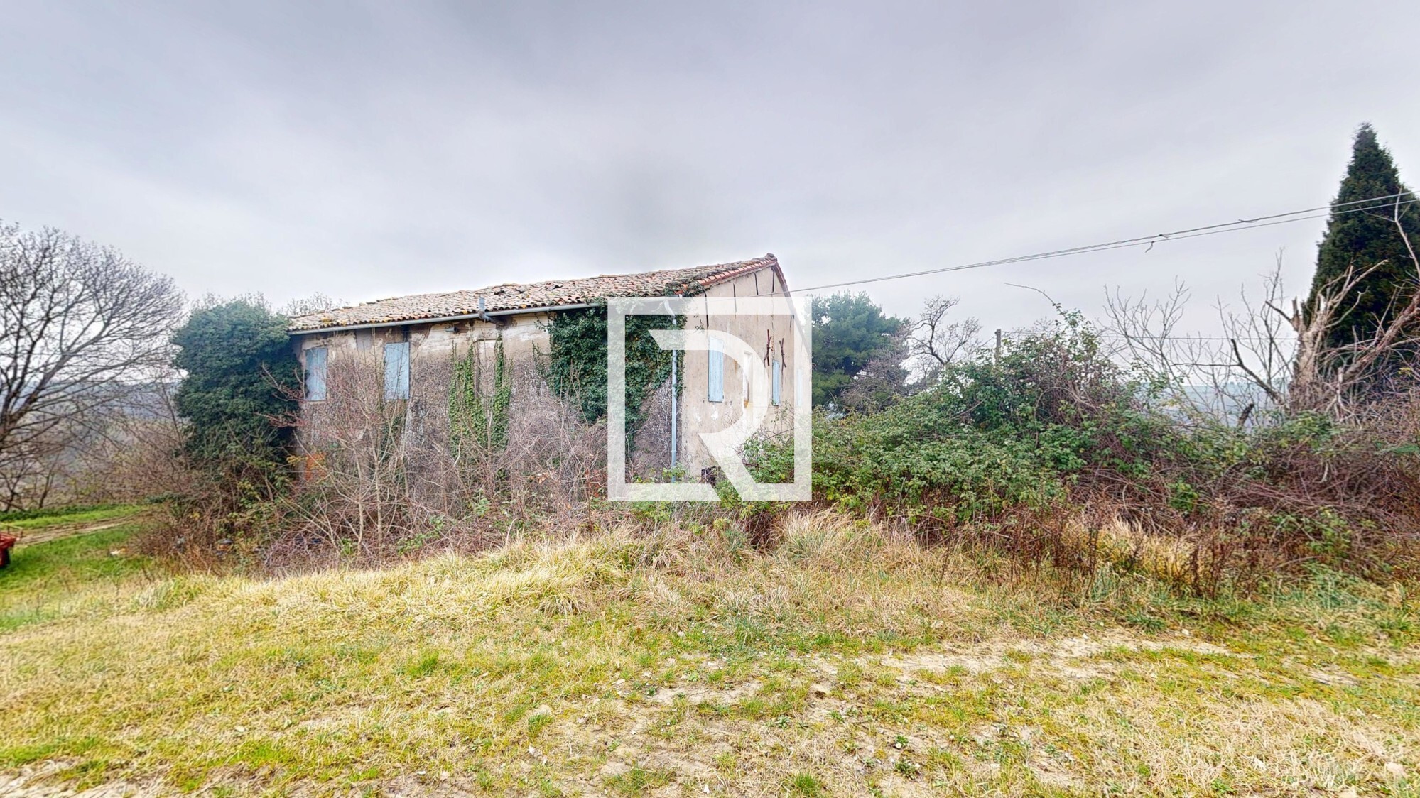 Rustico-Converselle-02192025_121748