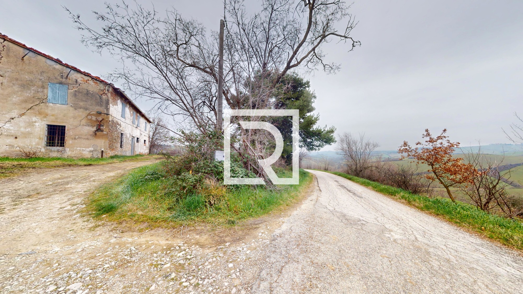 Rustico-Converselle-02192025_122844