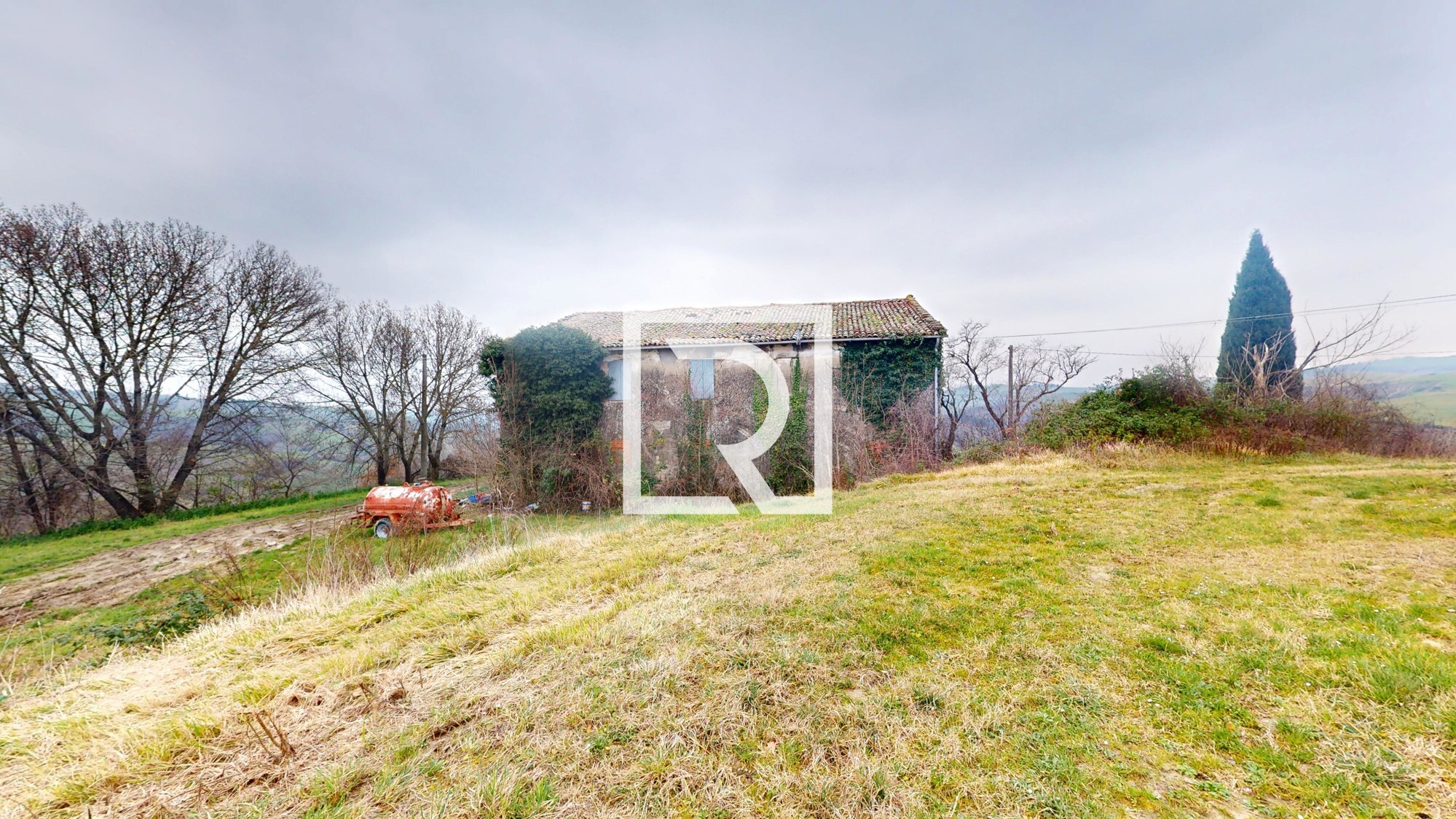 Rustico-Converselle-02192025_121839