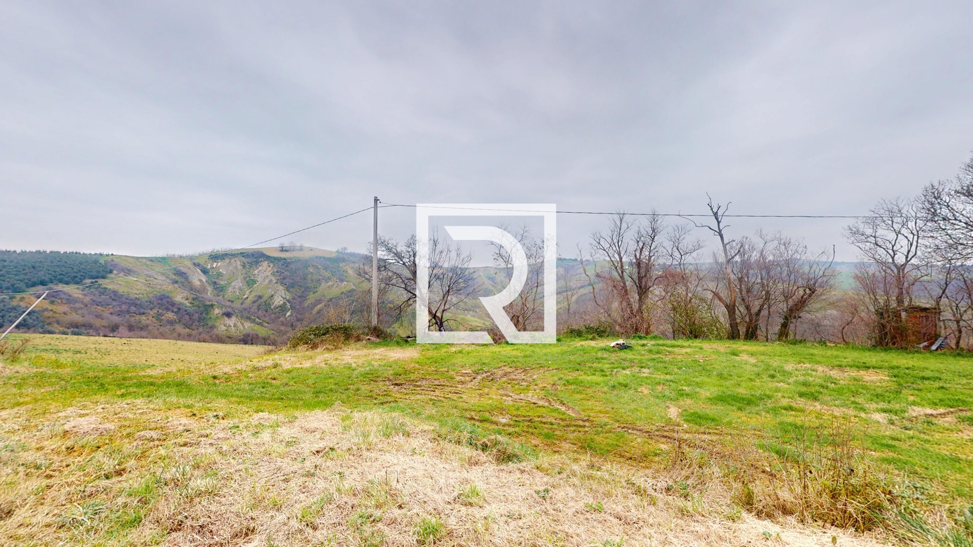 Rustico-Converselle-02192025_122303