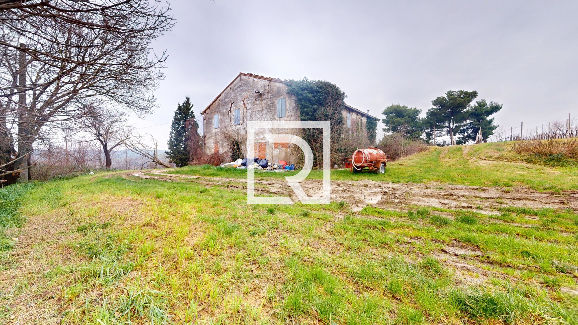 Rustico-Converselle-02192025_122234