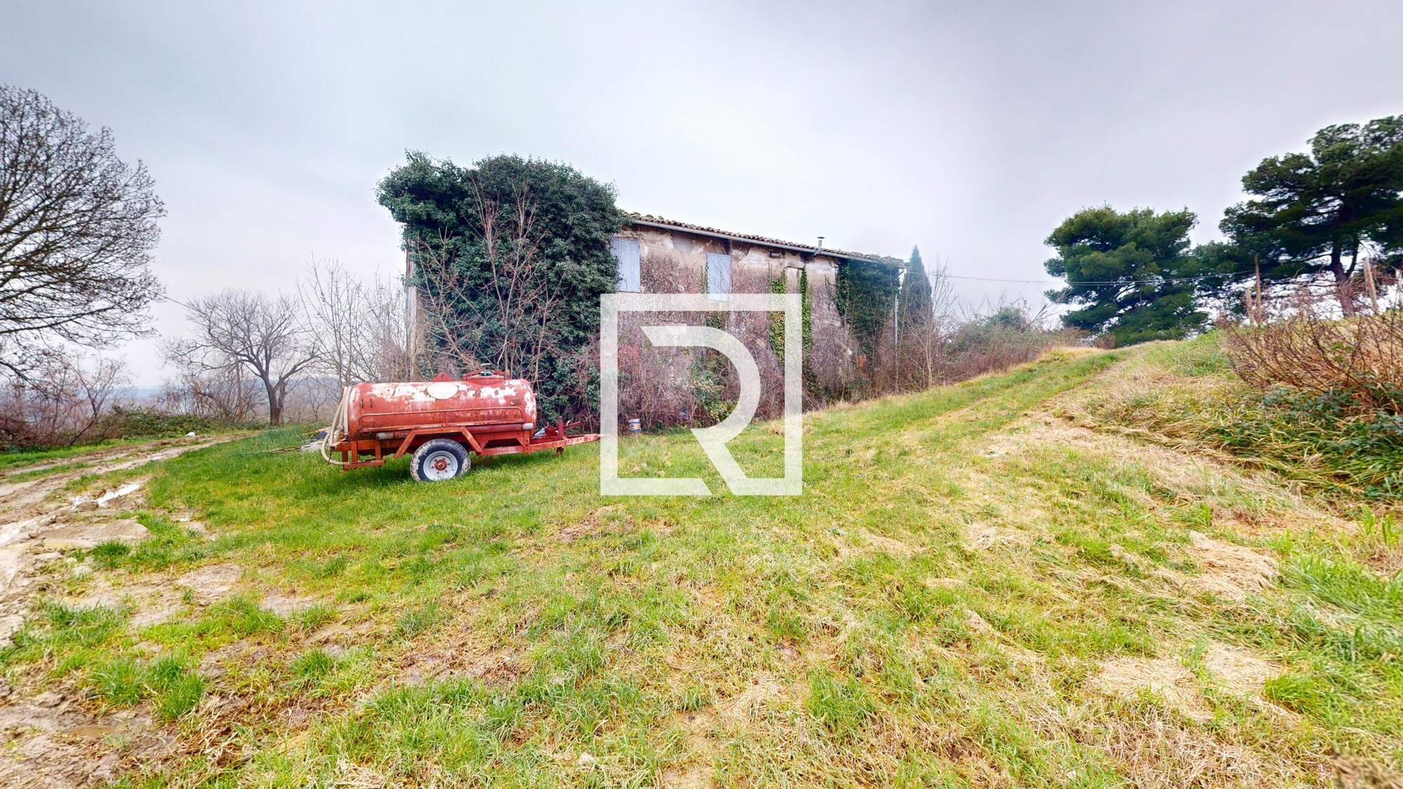 Rustico-Converselle-02192025_121904