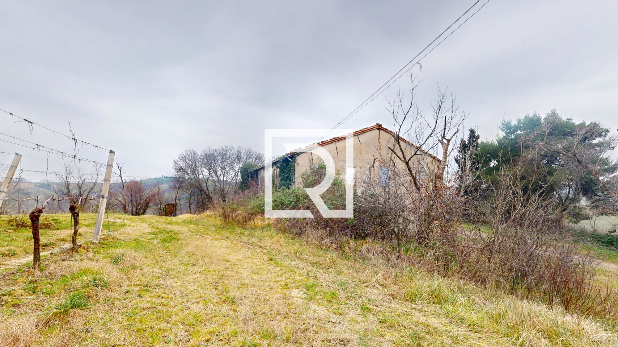 Rustico-Converselle-02192025_121637