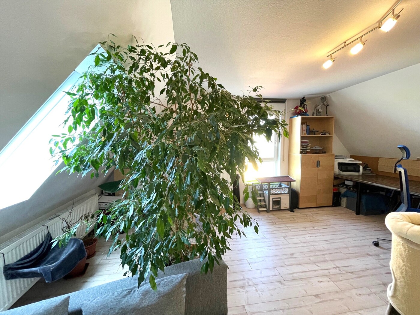 Studio - Foto 2
