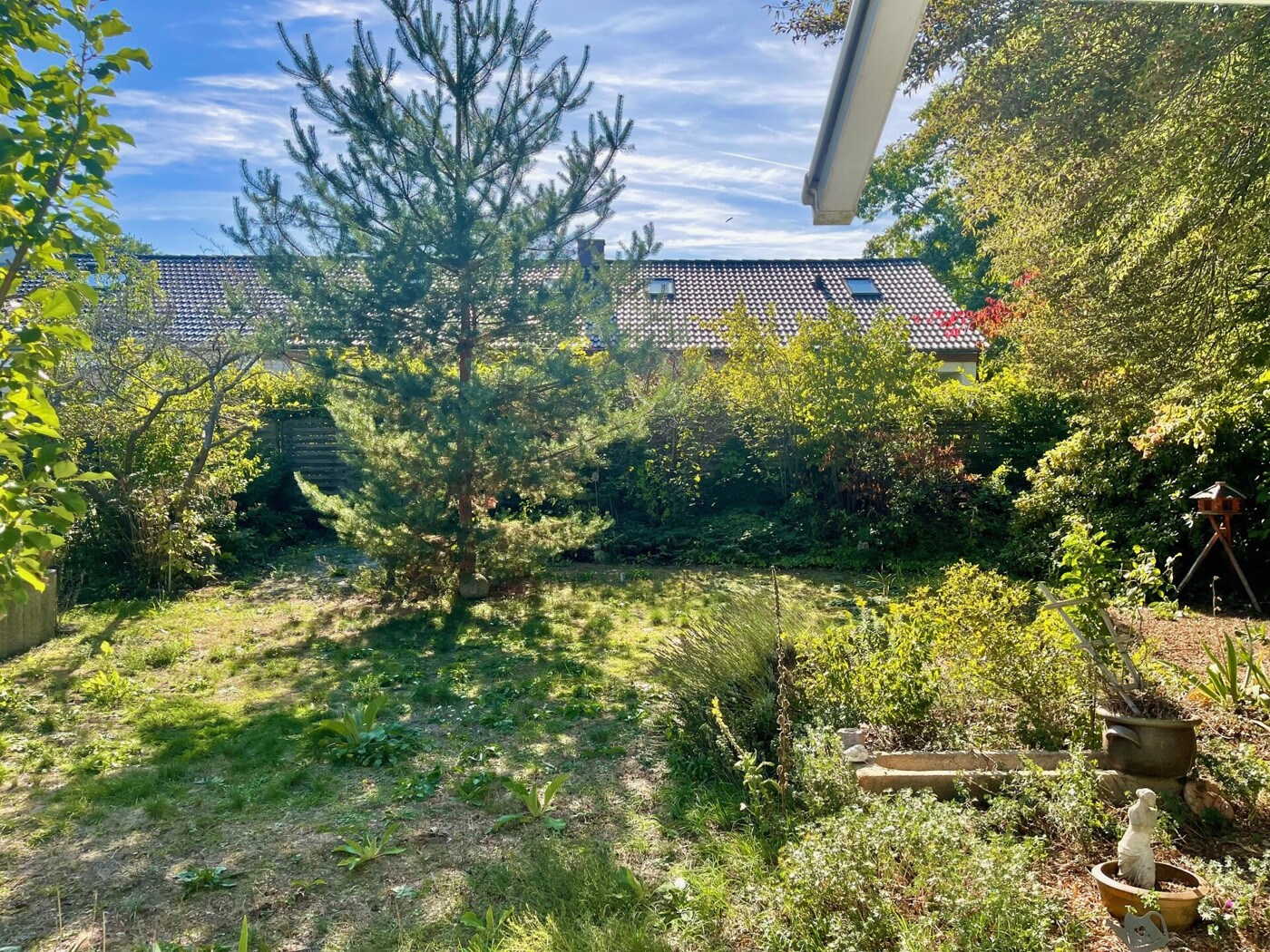Blick in den Garten 1