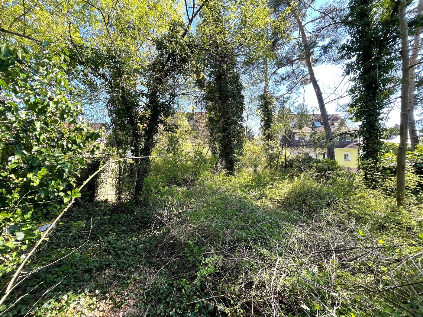 Garten - Foto 2