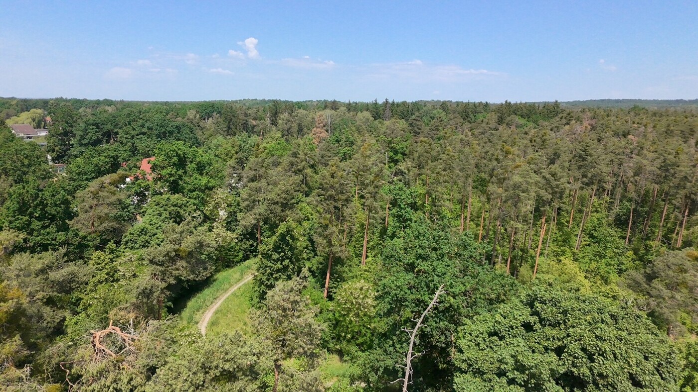 Luftbild - Grundstück - Aussicht hinter dem Garten