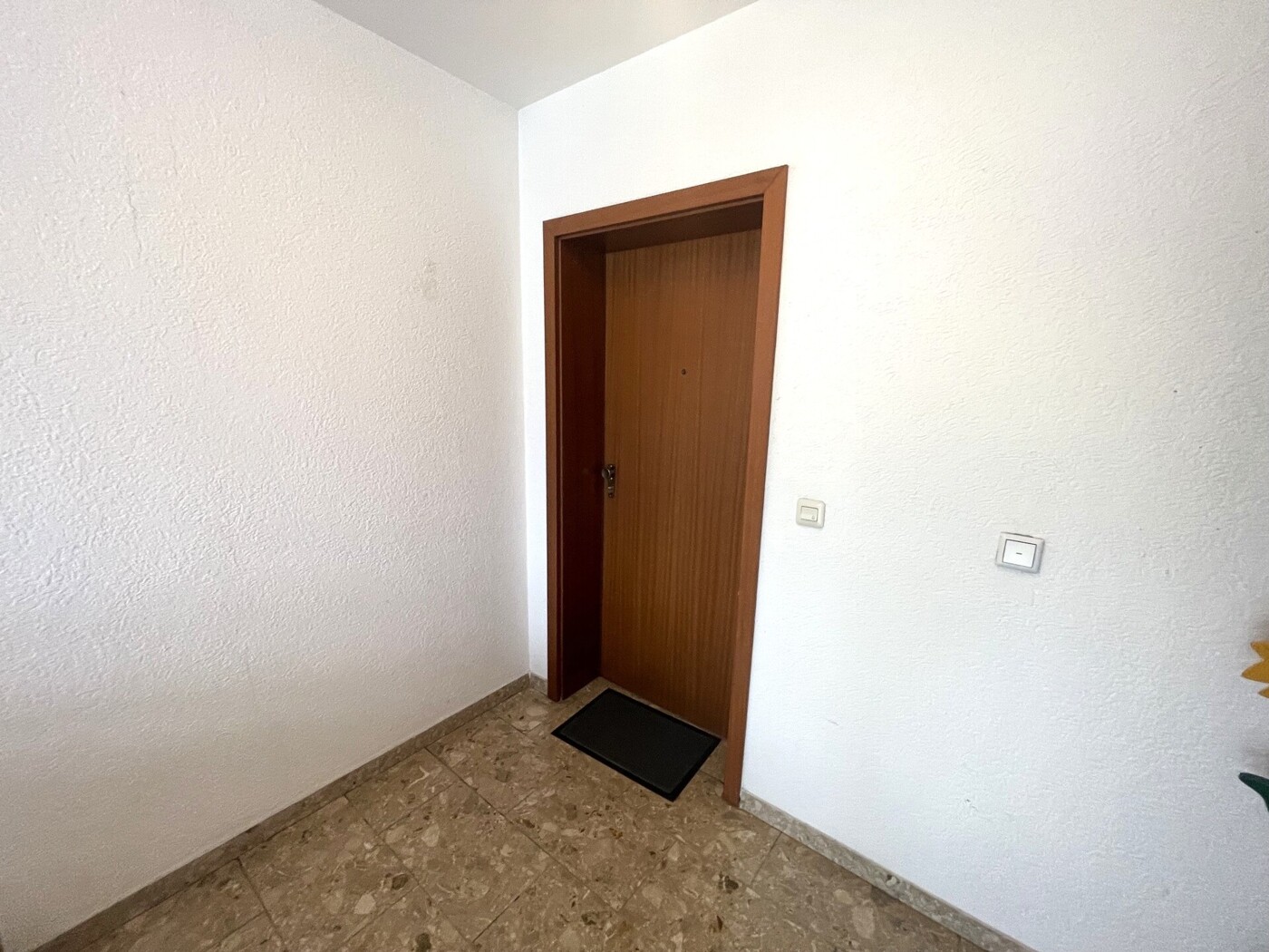 Wohnungseingangstür