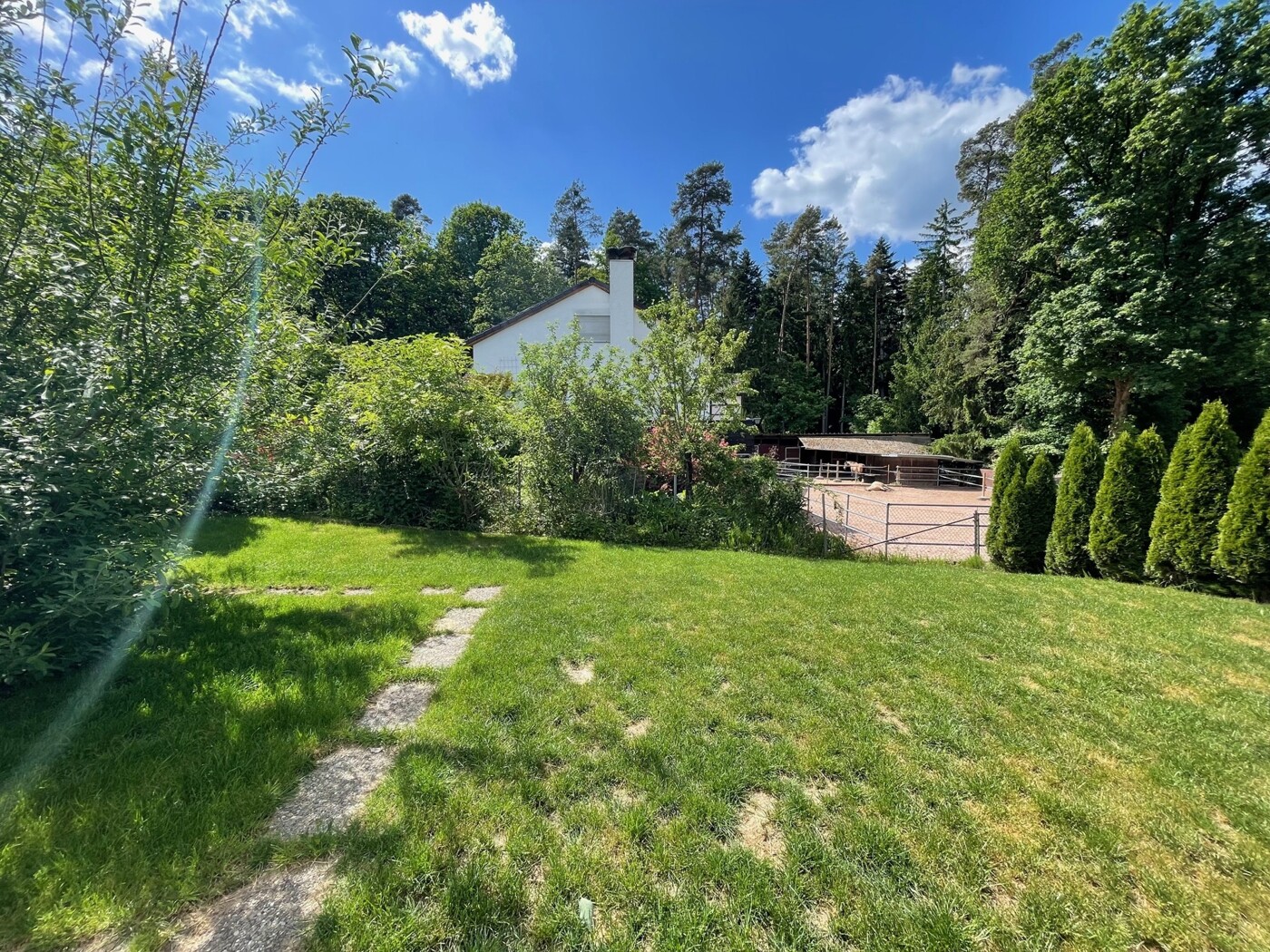 Garten hinter dem Haus