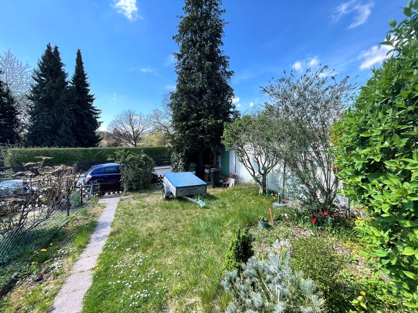 Blick in den Garten