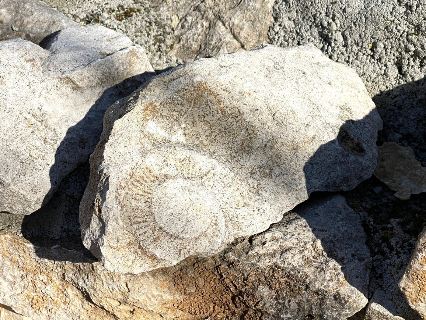 Kalksandstein
